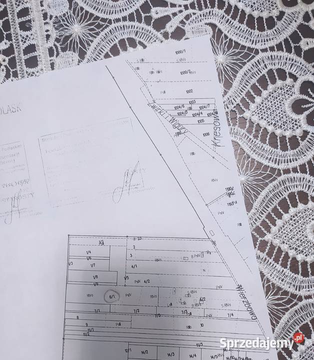 Działka rolna z możliwością zabudowy 2ha 20000m2 Bielsk Podlaski sprzedam