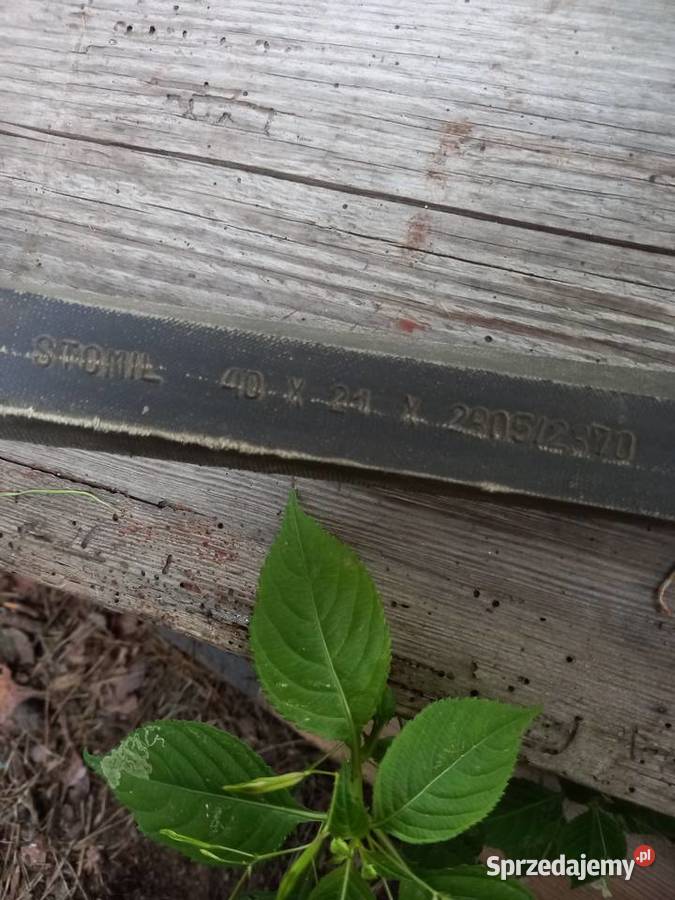 Pasy klinowe Vistula nieuszkodzony Legnica