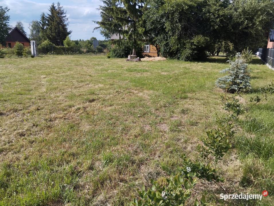 Siedlisko działka 21a Puchaczów Stara Wieś