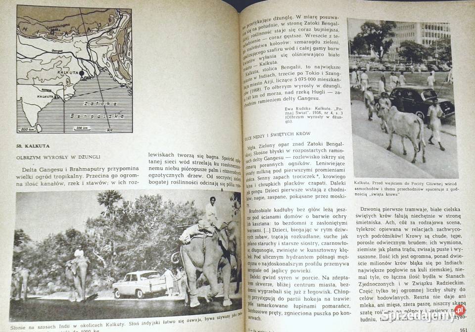 Na wielkim lądzie Wypisy geograficzne kl 7 I Kultura i Rozrywka Chełm