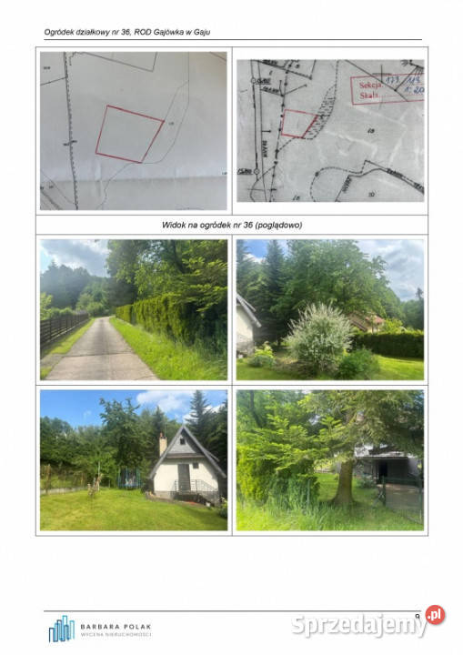 Syndyk sprzeda przeniesienie ogółu praw i Gaj