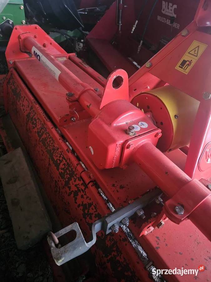 Glebogryzarka maschio Sosnowa