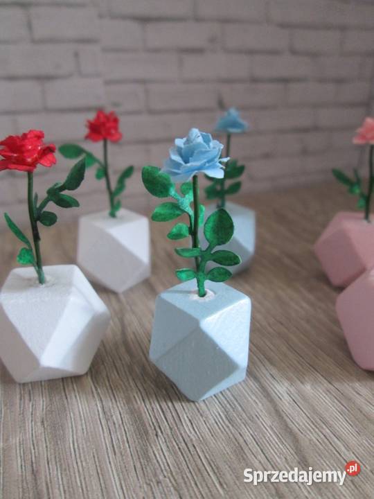 Akcesoria do domku lalek minikwiaty miniatury Bogatynia sprzedam