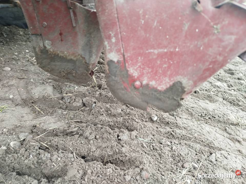 Siewnik zbożowy poznaniak łódzkie Łyszkowice