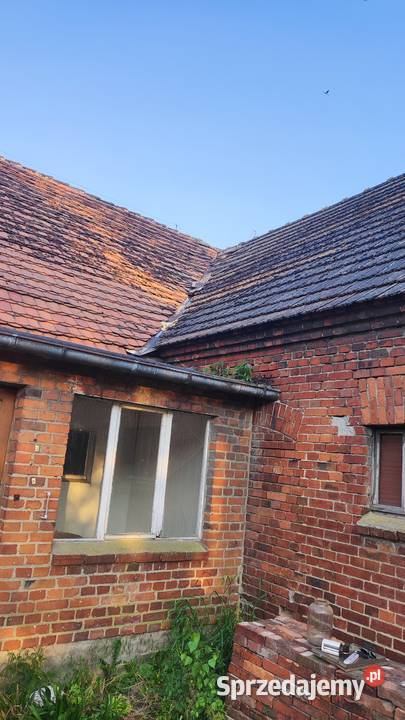 Około 600m2 Poniemiecka Dachówka do rozbiórki wielkopolskie Krotoszyn