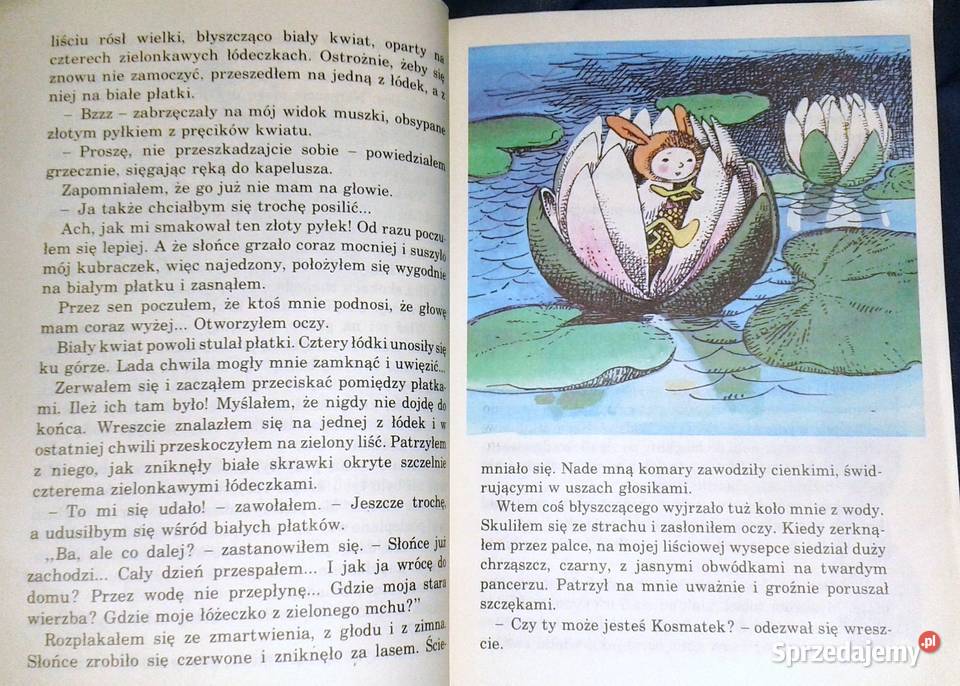 Kosmatek ze starej wierzby Hanna Zdzitowiecka Rok wydania 1988 lubelskie Chełm