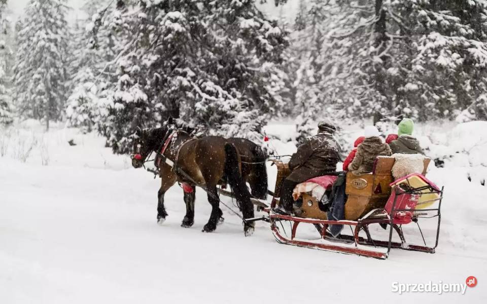 KULIG Z BIESIADĄ W KARCZMIE Wyjazd z Nowego Nowy Sącz sprzedam