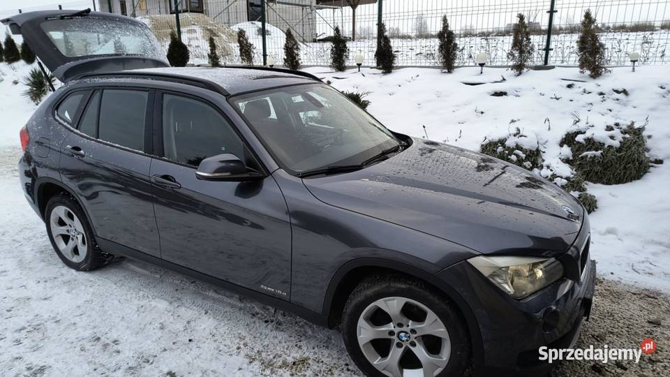 BMW x1 Rosochy