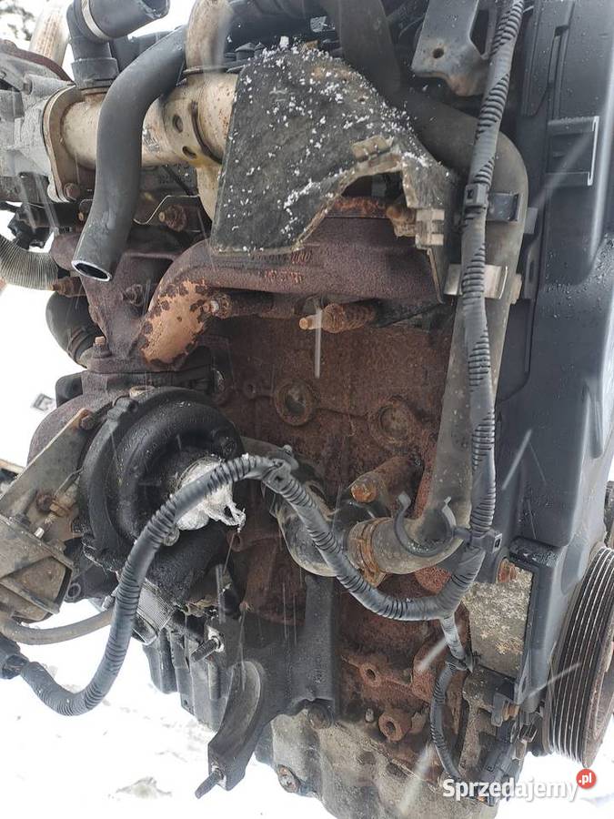 Ford Fokus C Kuga Volvo 20 TDCi 136 silnik osobowe Silniki kompletne Jastrzębie-Zdrój