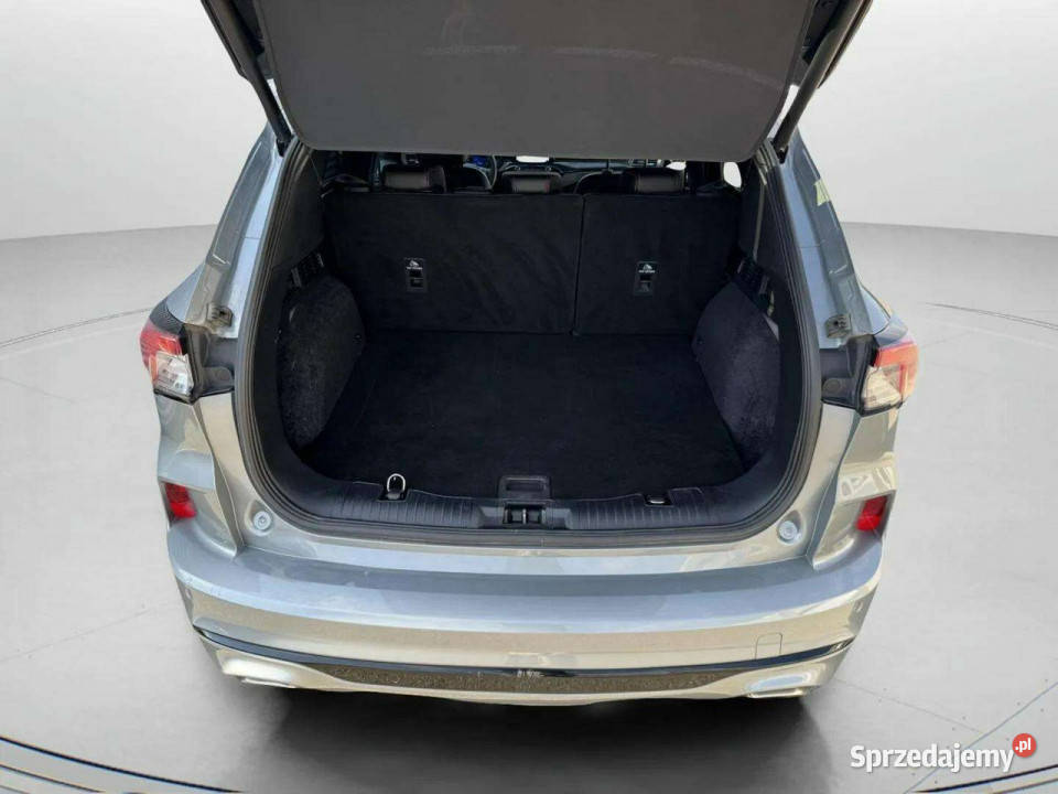 Ford Kuga III 2019 Kuga Samochody osobowe Sadlno