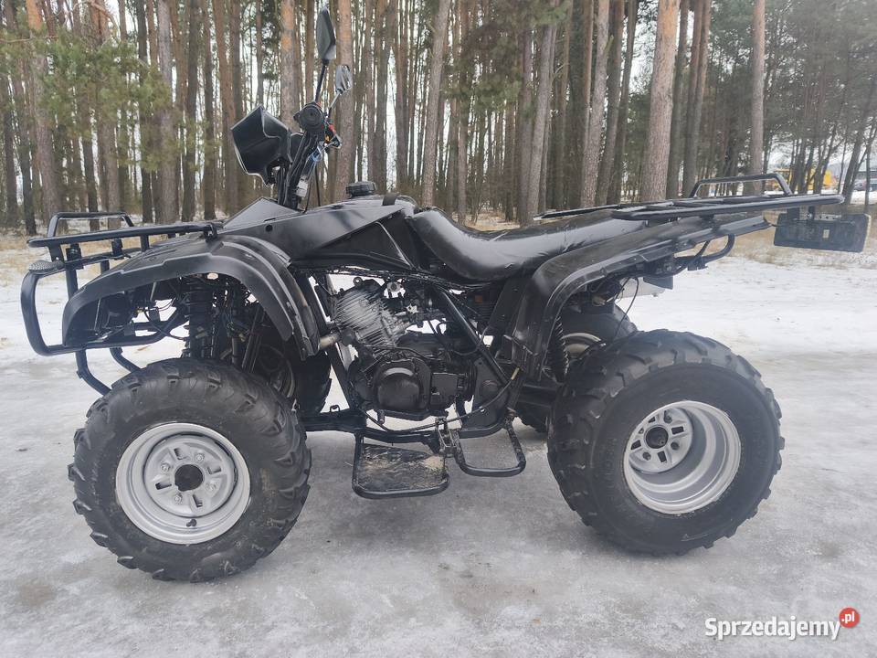 Quad 250 Zajerejestrowany Dobryń-Kolonia