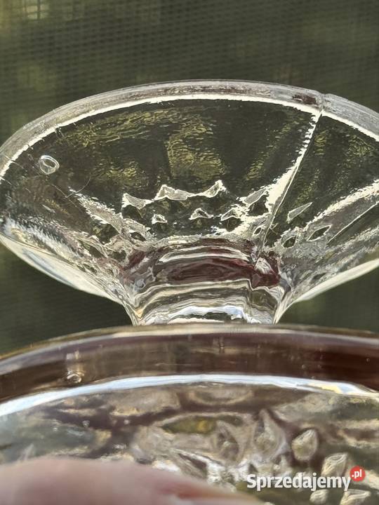 Pucharek stokrotki w nietypowym kolorze Mielec