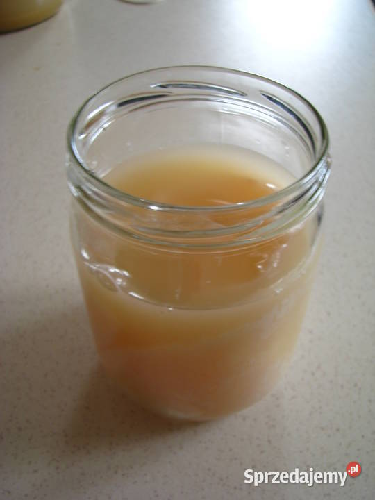 Żywa matka octowa ocet niepasteryzowany Pozostałe małopolskie Brzegi