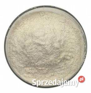 Guma Ksantanowa Xanthan Gum Czysta 1 łódzkie Łódź sprzedam