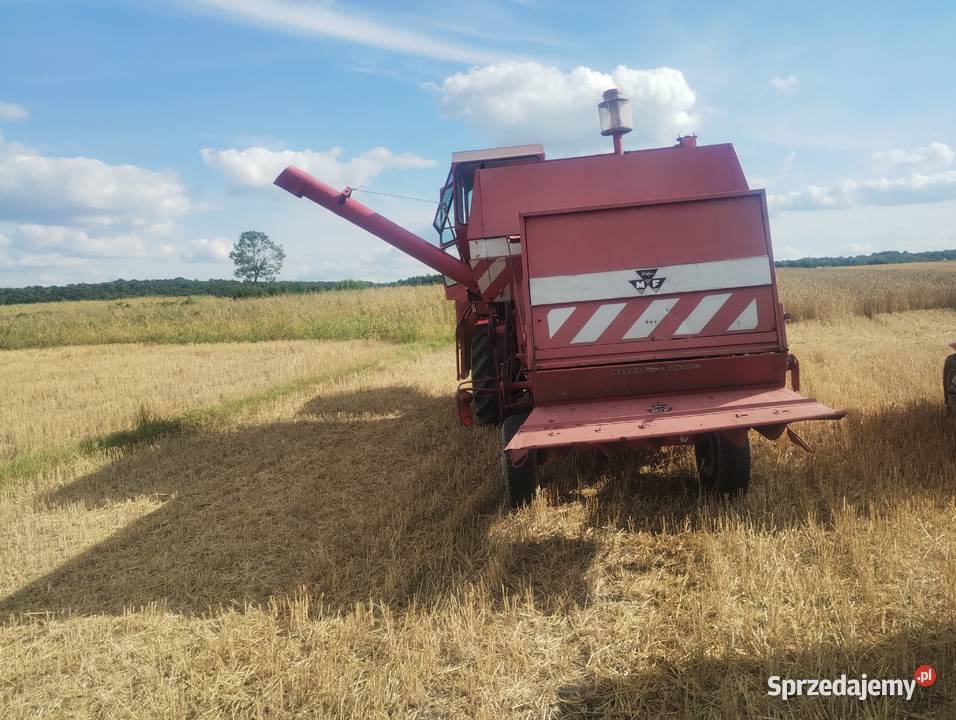 Kombajn zbożowy Massey Ferguson 487 Białowola