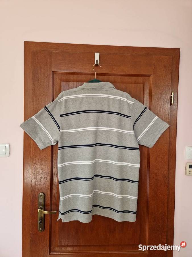 Szara bawełniana koszulka polo w paski męska Bibice
