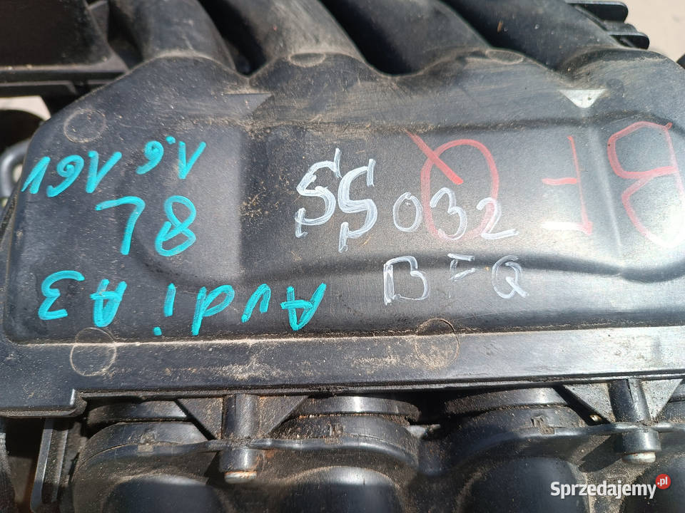 AUDI A3 8L SILNIK BFQ 16 16V 185 PRZEBIEGU osobowe Blok silnika Słowikowo