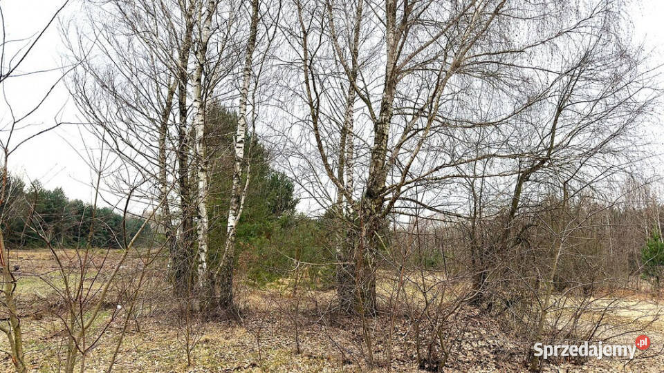 Działka inwestycyjna z MPZP k Skierniewic Strobów