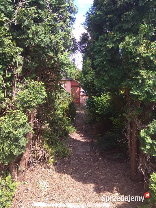 ROD Azalia w Łodzi Łódź