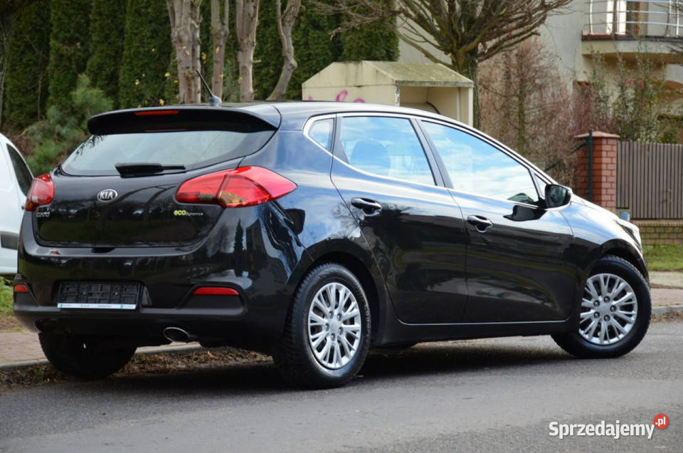 Kia Ceed Opłacona 16GDi 135 Serwis Navi Kutno