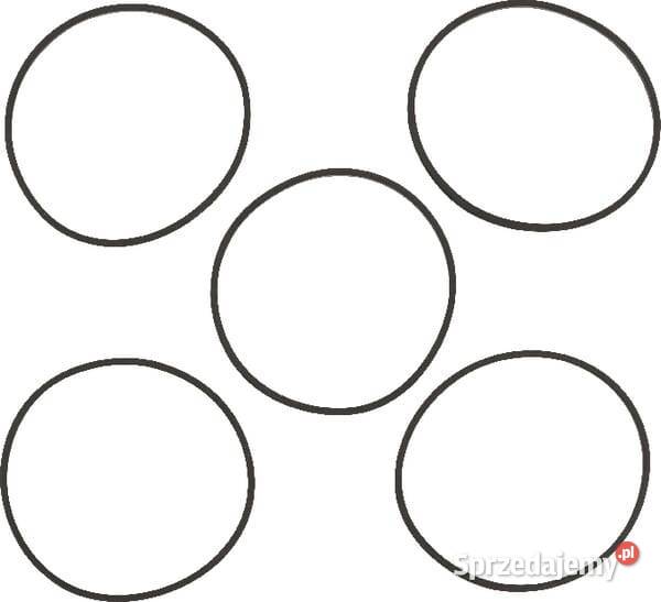 Uszczelka 281165S 5 4202WM Kamionna