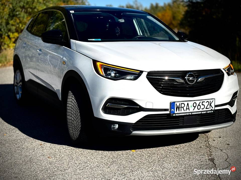 Opel Grandland X asystent parkowania Radom