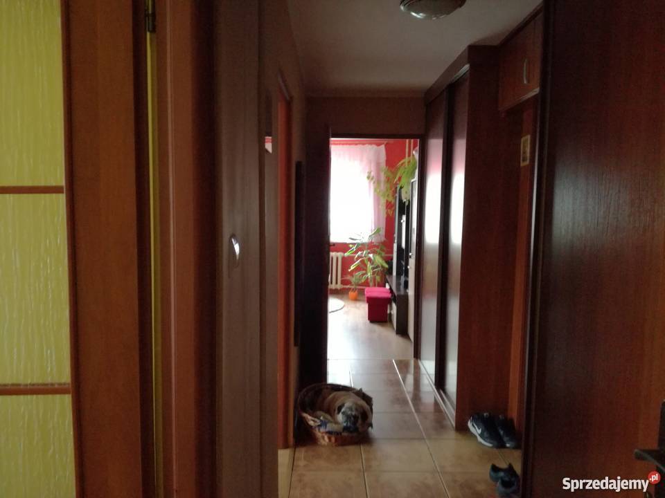 Sprzedam mieszkanie Kołczewo