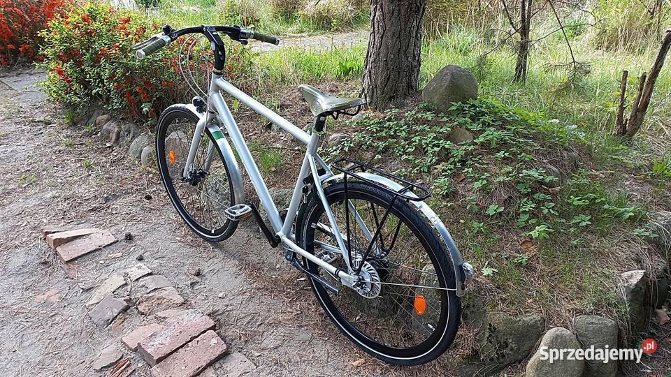 Designerski Perłowy Rower Miejski Męski Cortina Wołów