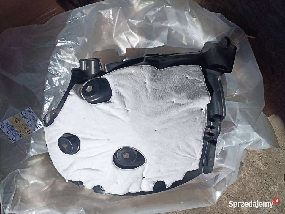 Nadkole lewe przednie captur 2 Wierzchowiny