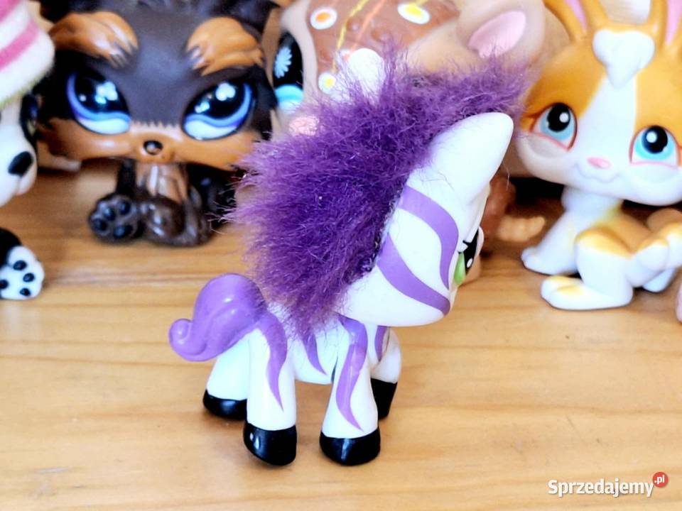 Zebra puchata fiolet Littlest Pet Shop warmińsko-mazurskie Braniewo