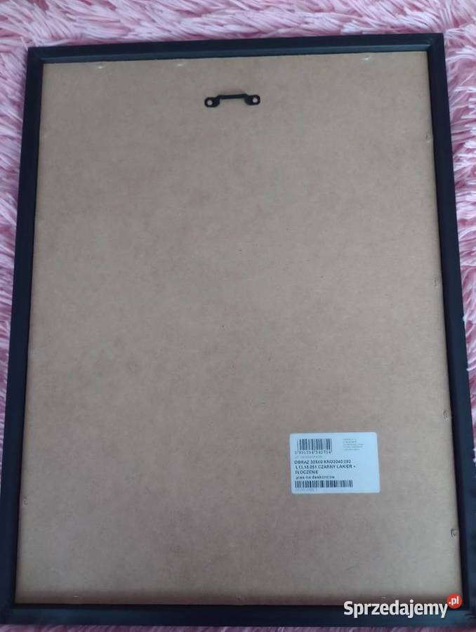 Obraz pies na deskorolce 30x40 Szczecin