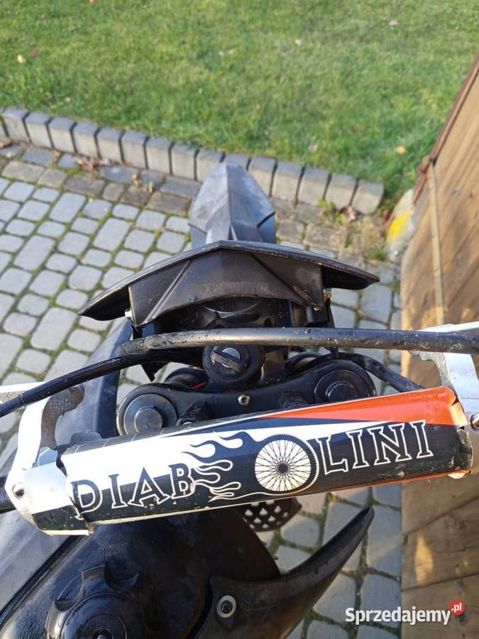 Diabolini agb 38 podkarpackie Narol