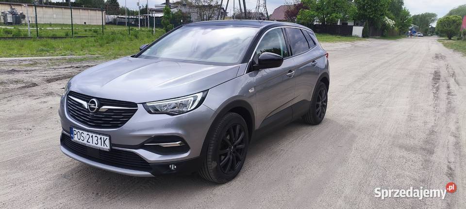 Opel grandland x ESP wielkopolskie