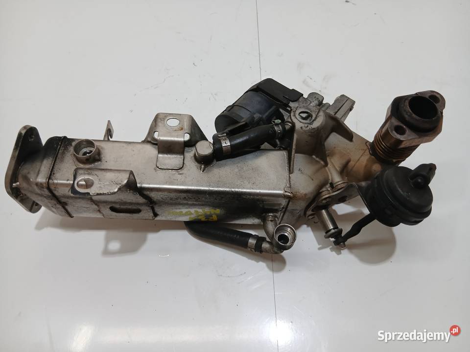 CHŁODNICA SPALIN EGR BMW F30 F31 N47D20C 20D osobowe lubelskie Strzyżewice