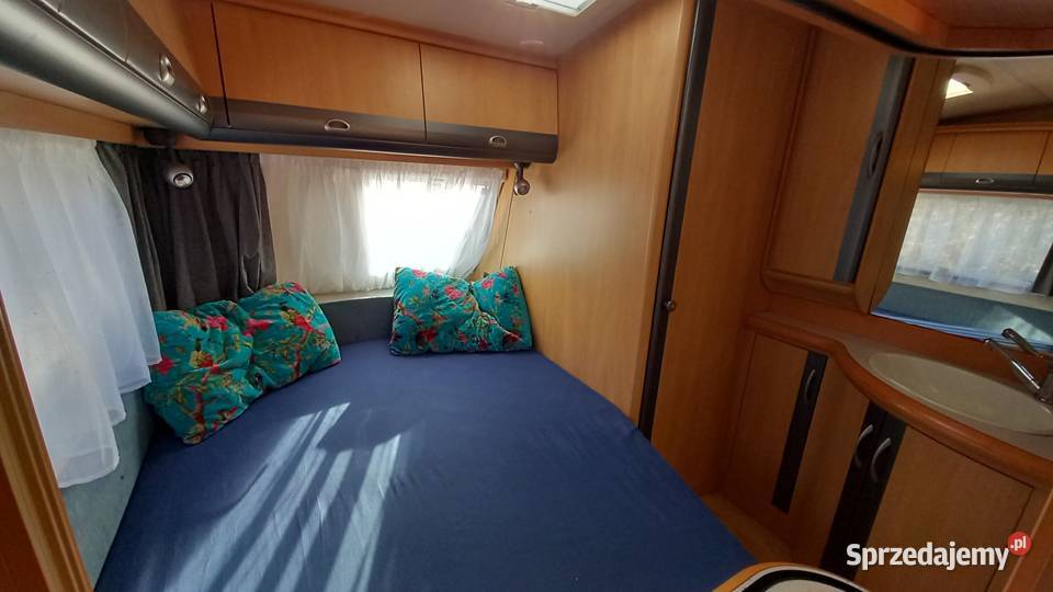 Hobby 500 limited edition Pietrus Plus duży Gowino