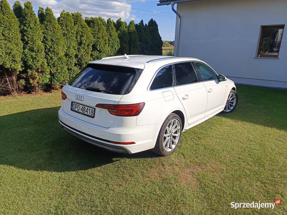 Audi A4 b9 Dąbrowice