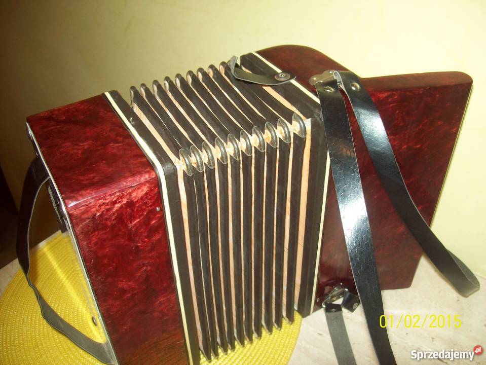 Akordeon MAŁYSZ Razno Bukowno