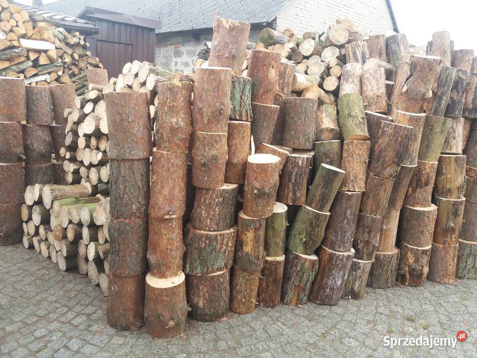 Sosna Drzewo Drewno SUCHE SUCHA Sosnę Opał Łaskarzew