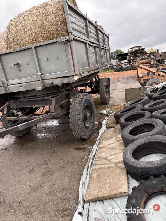 Przyczepa d55 nieuszkodzony Twardów