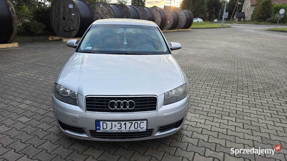 Audi A3 8P 16 MPI Długie opłaty