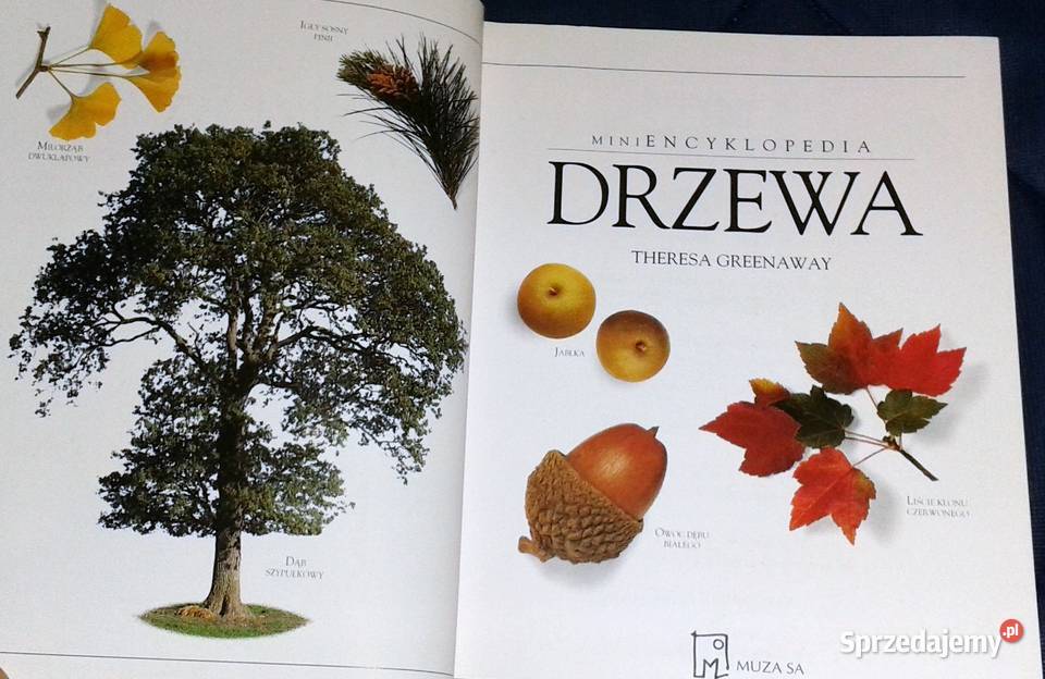 Drzewa Mini encyklopedia Theresa Greenaway Chełm