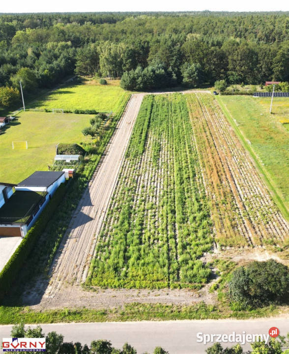 Działka Barkowice Mokre 1605m2 Sprzedaż Nieruchomości
