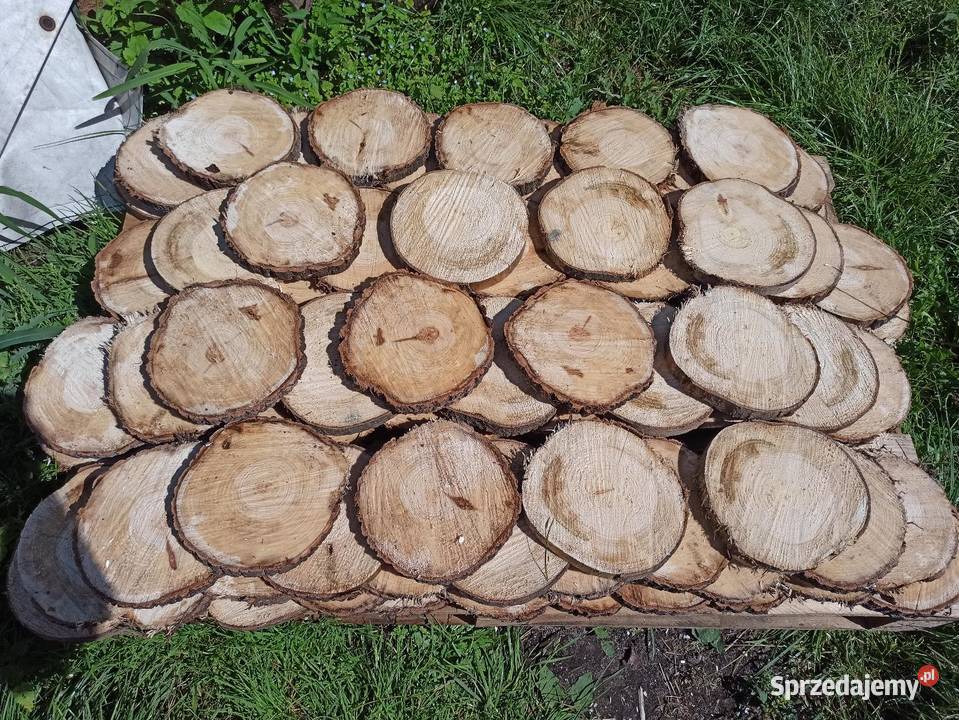 Plastry krążki drewniane śląskie Woźniki