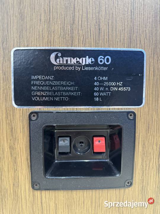 Kolumny głośnikowe Carnegle 60 podlaskie Łapy