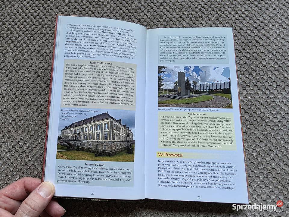 Śladami słynnych zbrodni przewodnik wyd BOSZ ISBN 9788375761368 Kraków