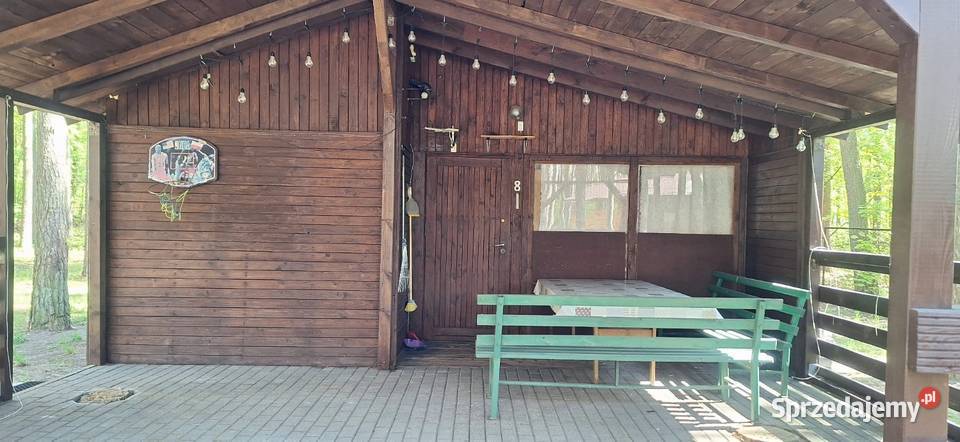 Domek letniskowy w lesie Ślesin jeziora