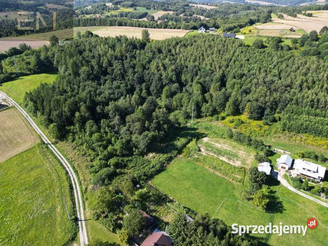 Działka Dobrzechów 13100m2 13100m2 sprzedam