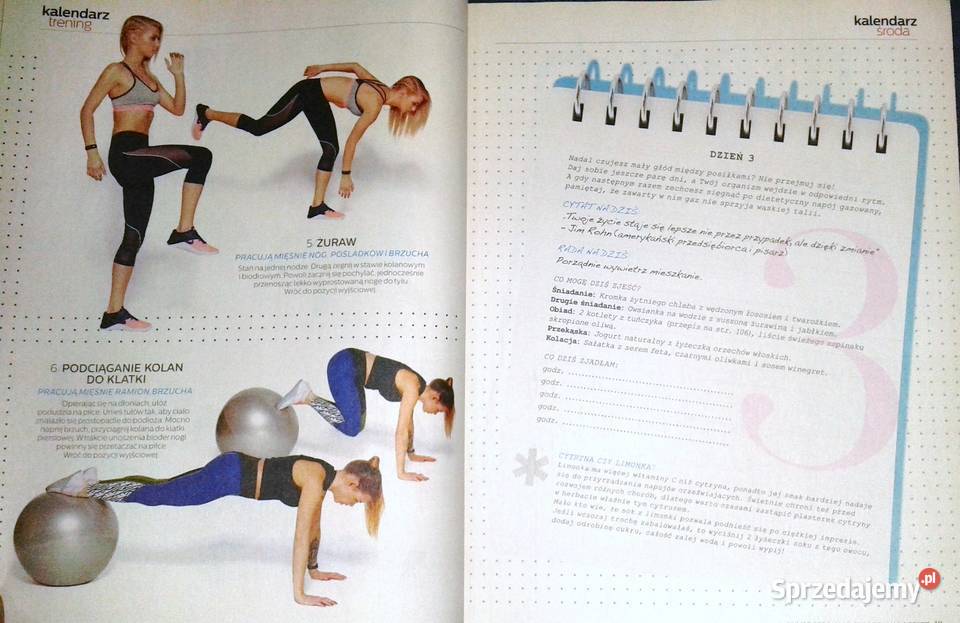 Shape Plan na start Wiosna 012017 Pozostałe lubelskie Chełm