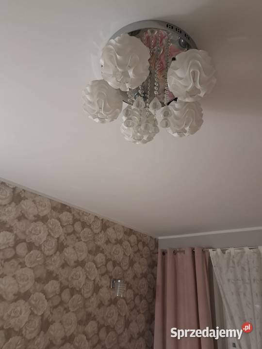 Żyrandol przysufitowy nowoczesny wzór 5 kloszy Szczecin