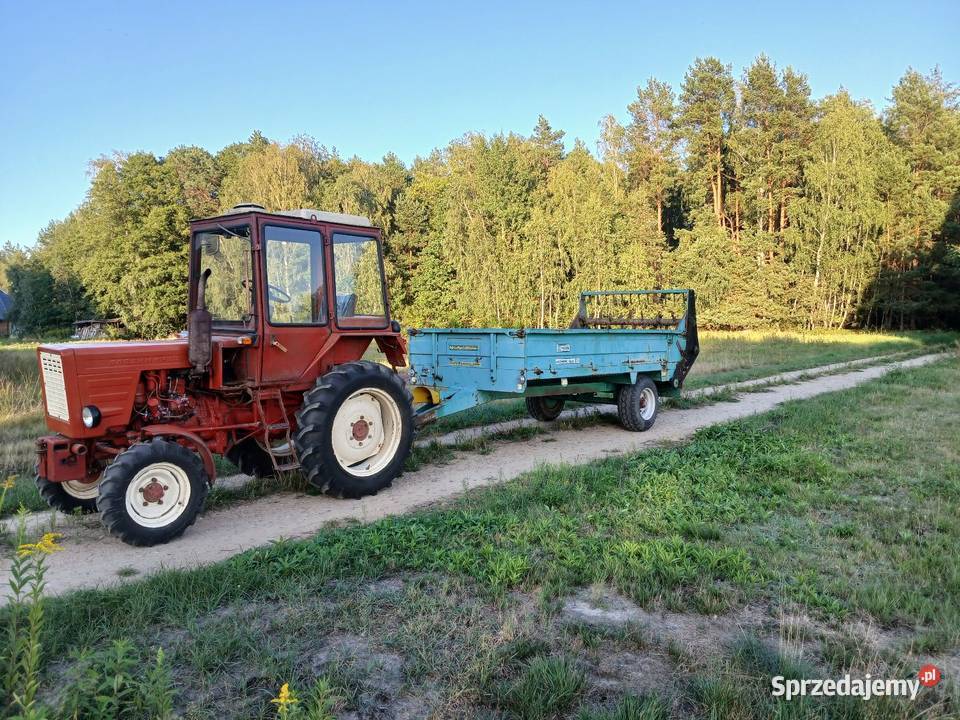 Rozrzutnik warfama n226 mazowieckie Mistów